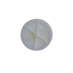 Platillo 38mm para Calefont Ionizado Neckar, Splendid